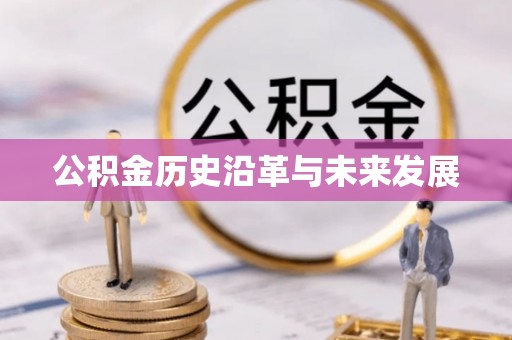 湾仔区公积金历史沿革与未来发展