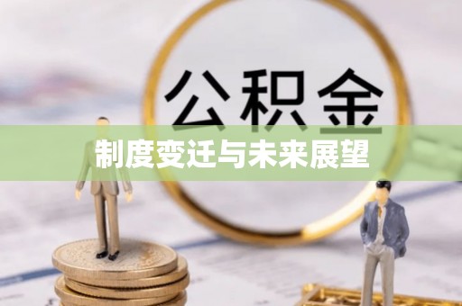 湾仔区制度变迁与未来展望